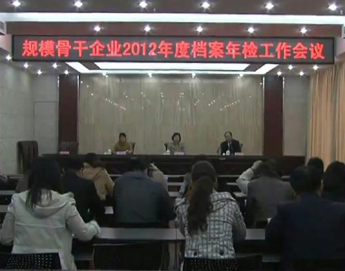大丰市召开规模骨干企业2012年度档案年检工作会议